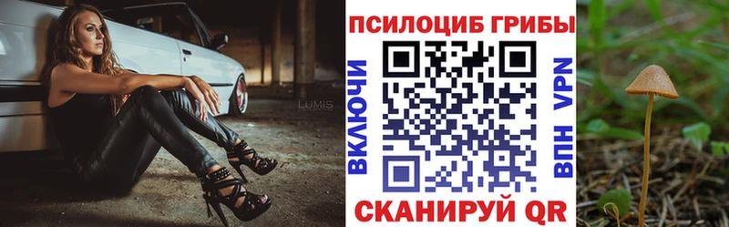 Псилоцибиновые грибы Psilocybe  цена   Пролетарск 